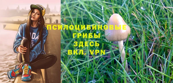 мяу мяу мука Белоозёрский
